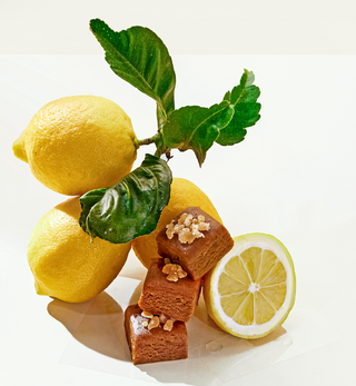 LEMON GINGER TURMERIC  12 Bites